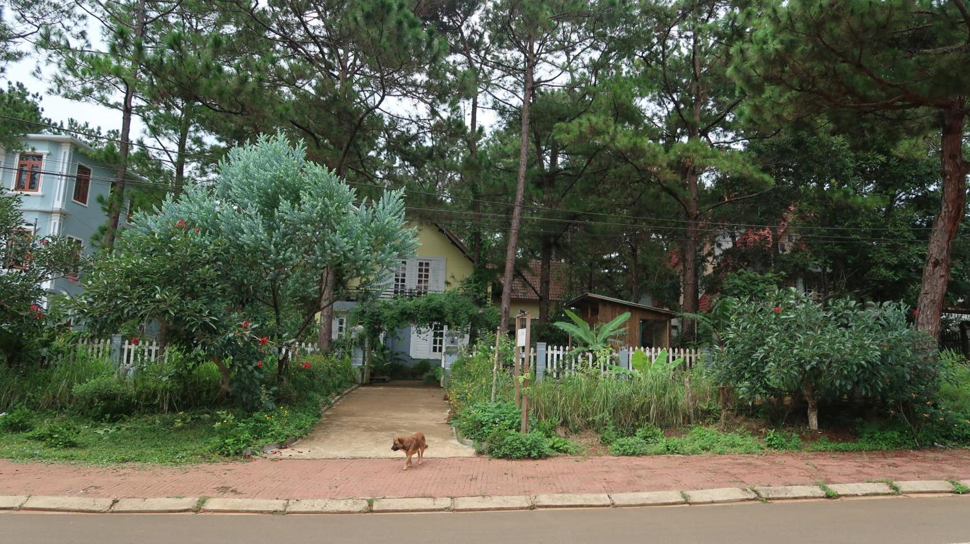La Maison Homestay Mang Den Kon Tum Luaran gambar