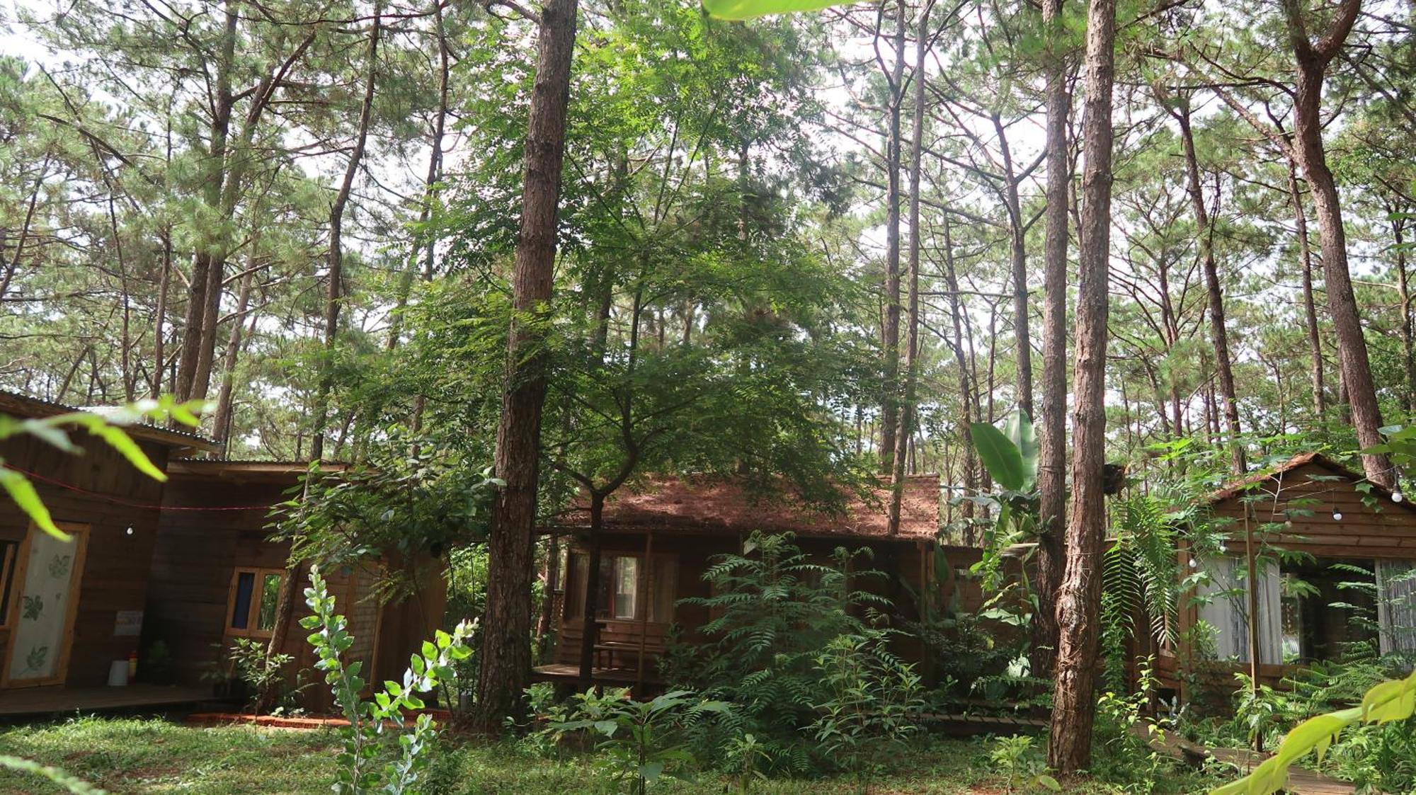 La Maison Homestay Mang Den Kon Tum Luaran gambar